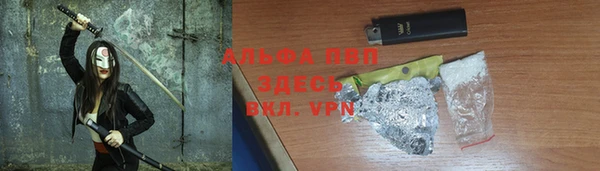 гидра Абаза