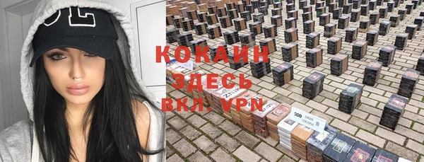 гидра Абаза