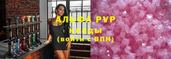 гидра Абаза