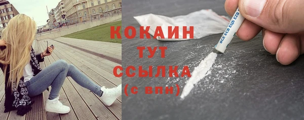 гидра Абаза